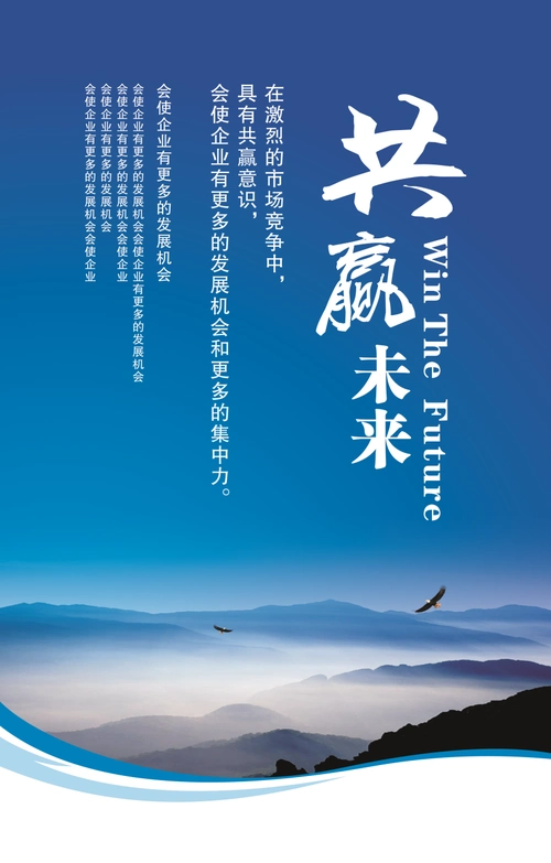 2013新电算化软件理论题复习单